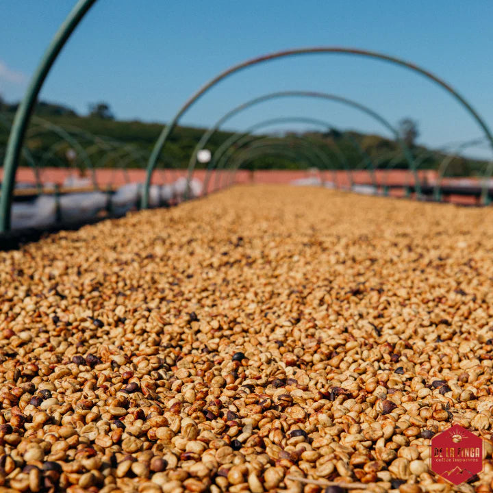 Brazil Fazenda Vila Boa