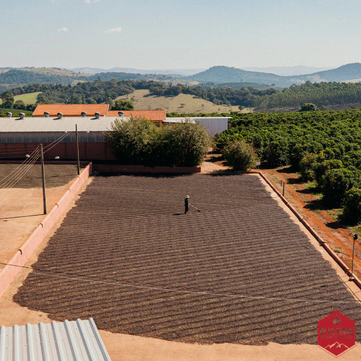 Brazil Fazenda Vila Boa