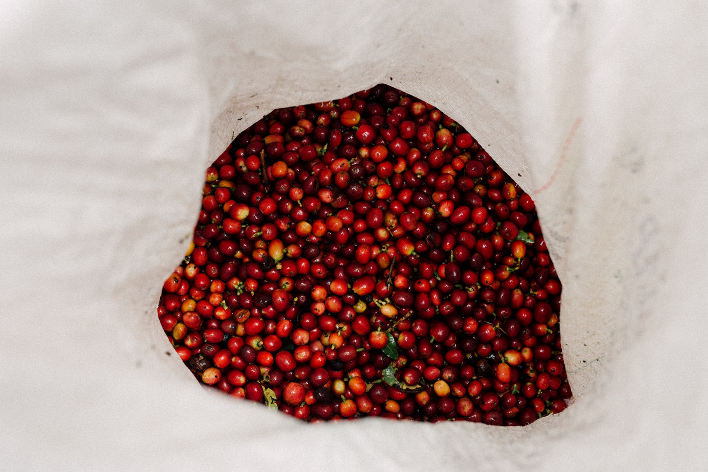 Colombia Andrés Cardona Natural