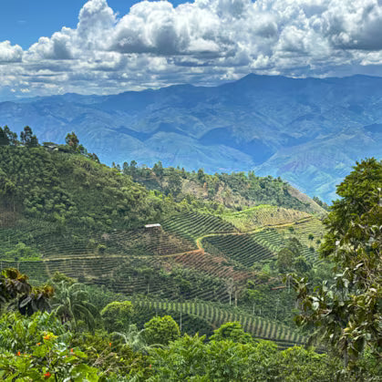 Peru San José de Lourdes