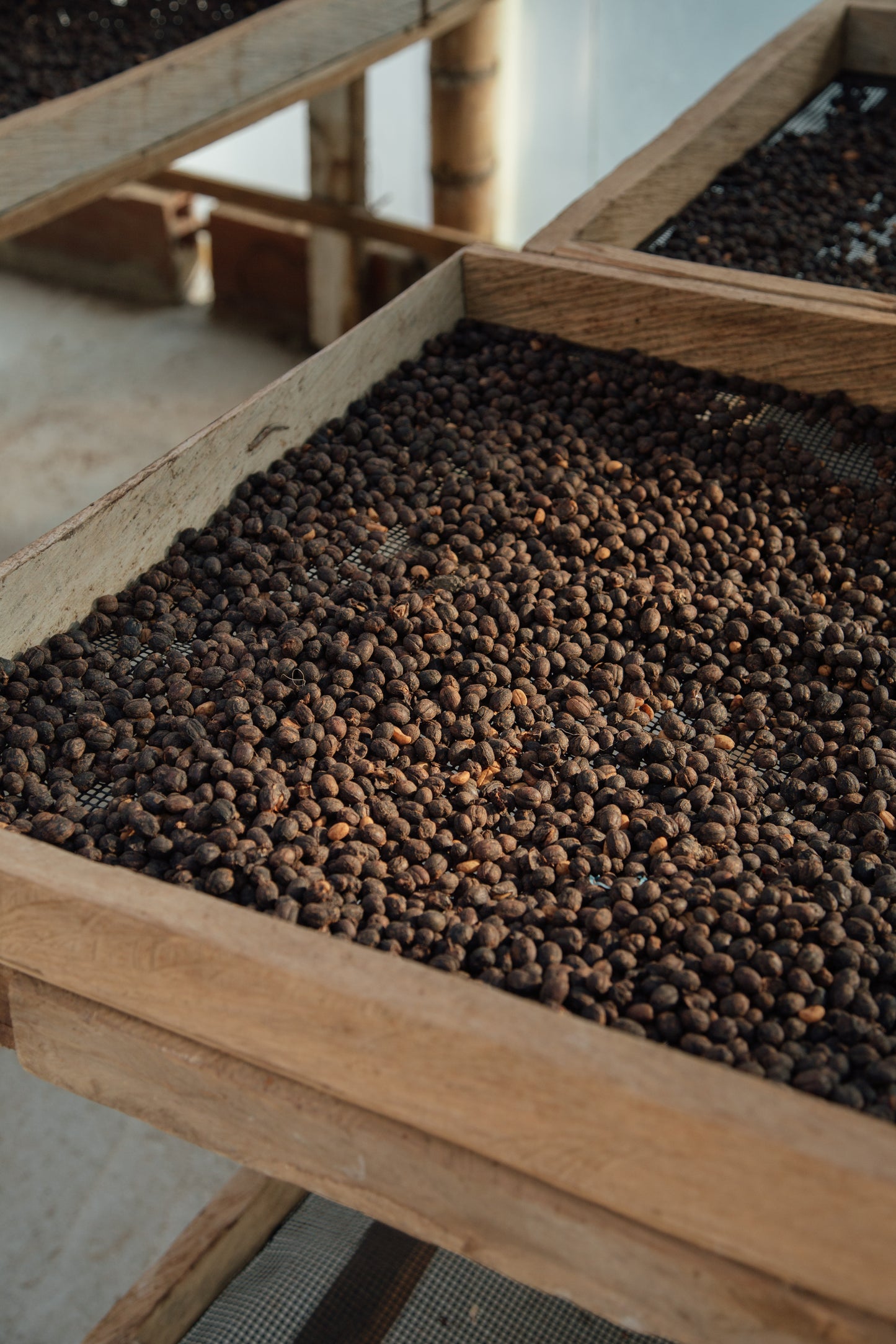 Colombia Andrés Cardona Luna Azul