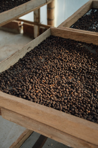 Colombia Andrés Cardona Luna Azul