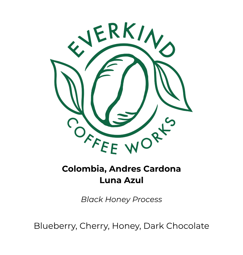 Colombia Andrés Cardona Luna Azul