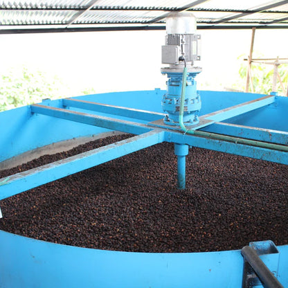 Colombia Ceiba Honey