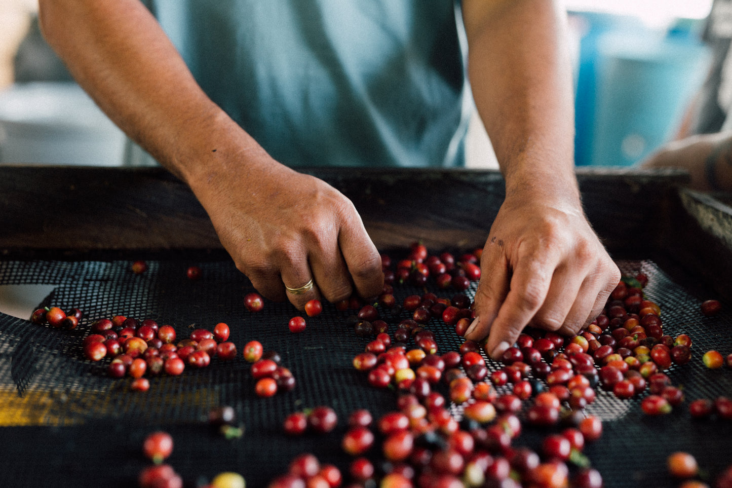 Colombia Andrés Cardona Natural