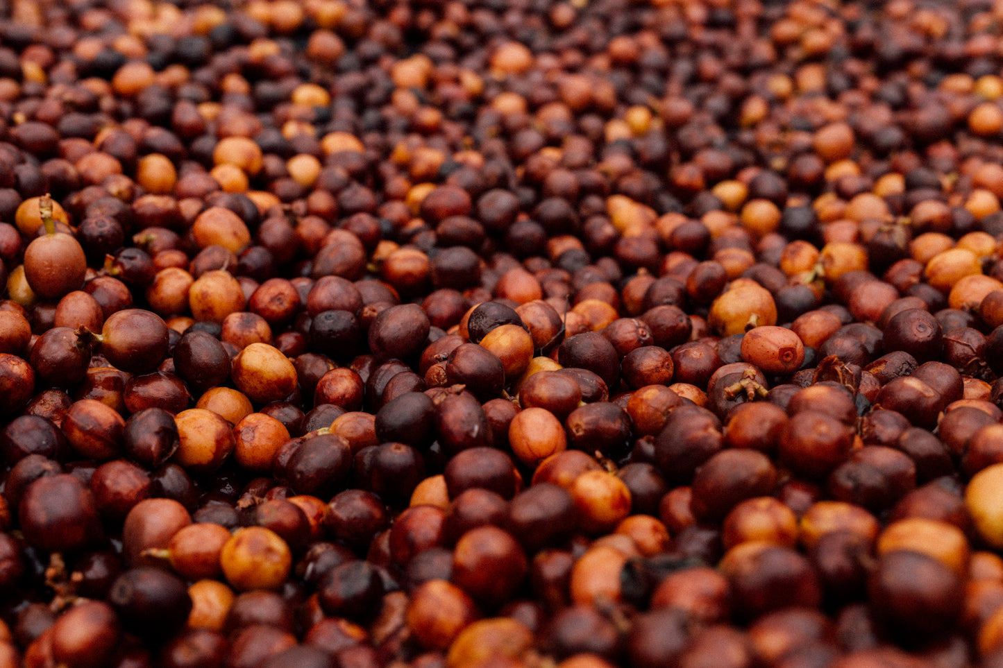 Colombia Andrés Cardona Luna Azul