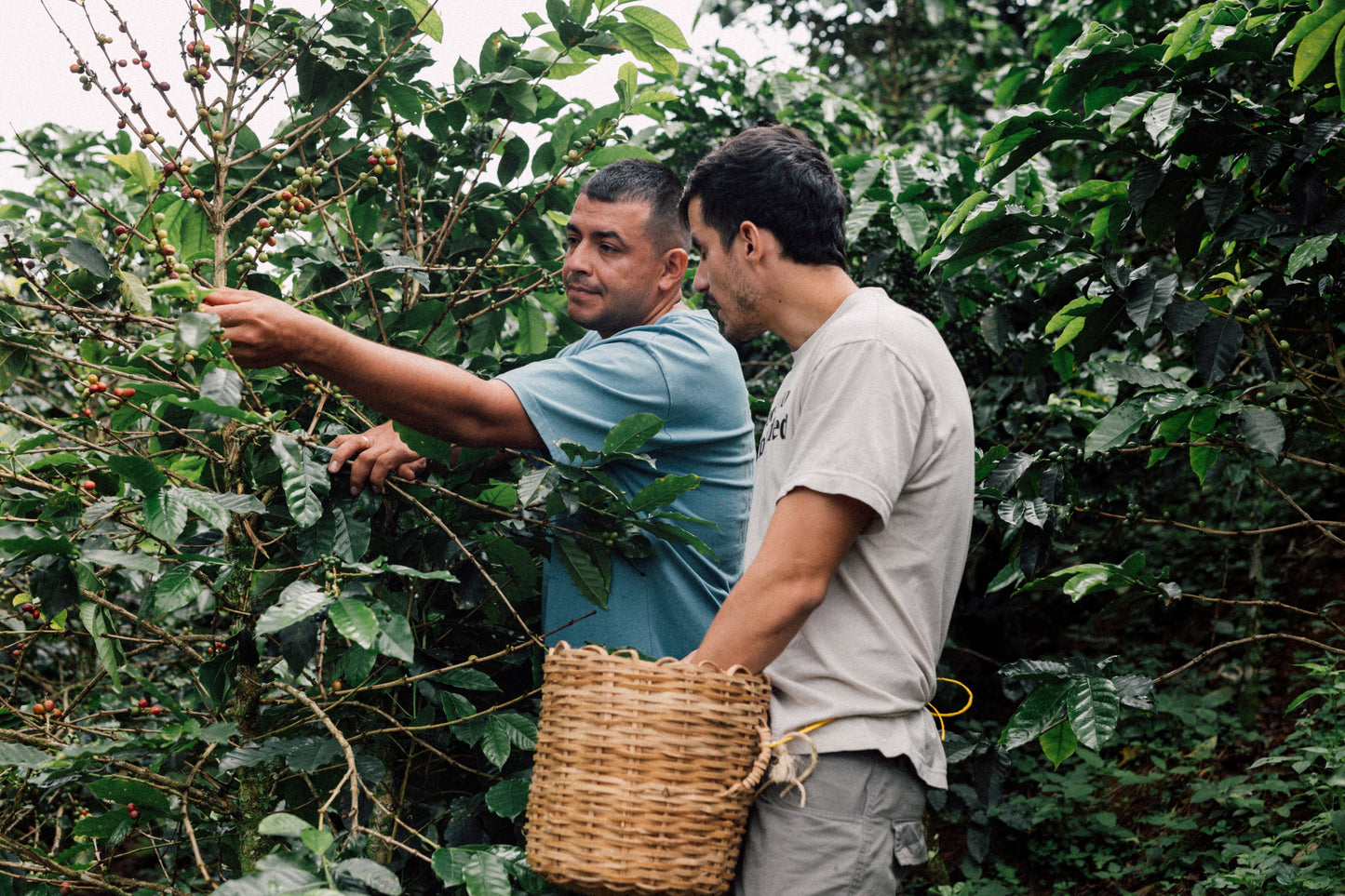 Colombia Andrés Cardona Natural