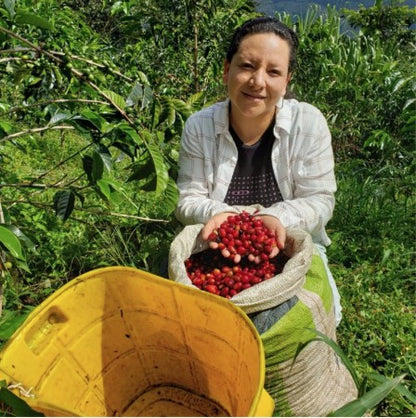 1st Anniversary Colombia Honey process Gesha