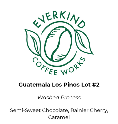 Guatemala Alfredo Ramirez Los Pinos Lot #2