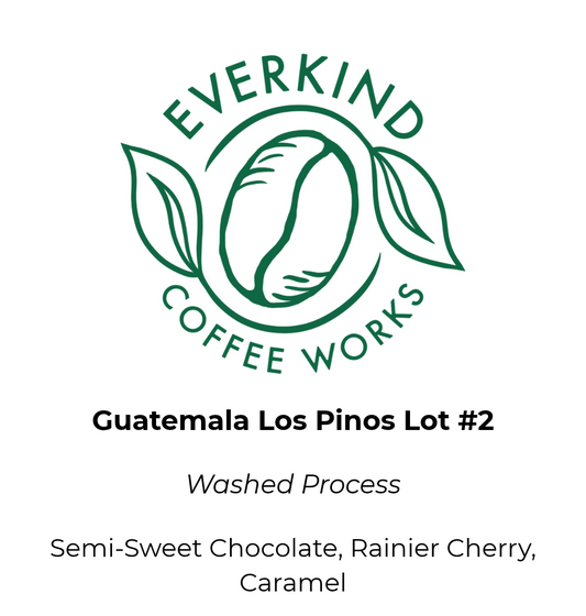 Guatemala Alfredo Ramirez Los Pinos Lot #2