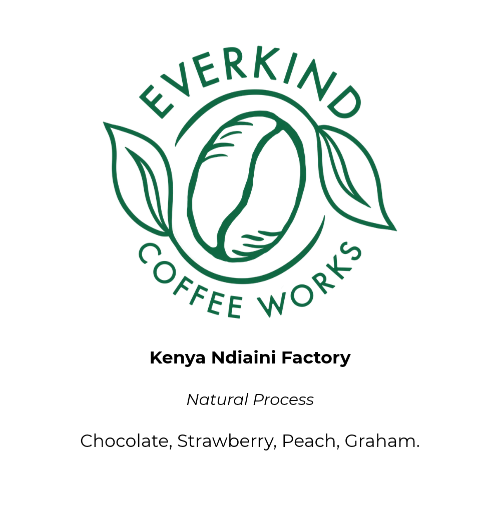 Kenya Natural Ndiaini Factory
