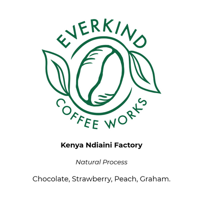 Kenya Natural Ndiaini Factory
