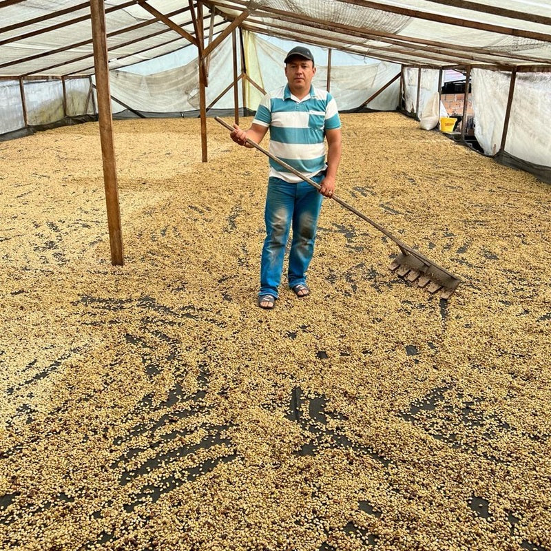 Colombia Caturra Syrup