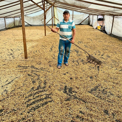 Colombia Caturra Syrup