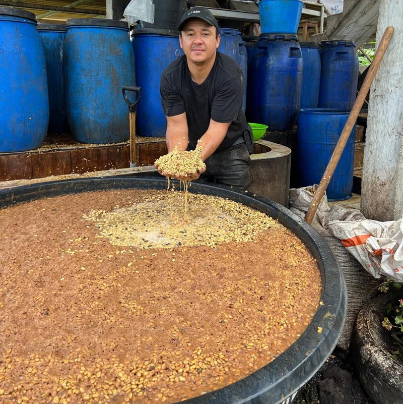 Colombia Caturra Syrup