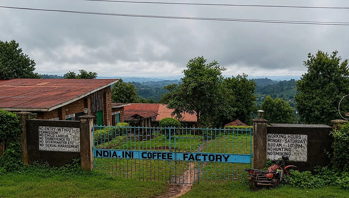 Kenya Natural Ndiaini Factory