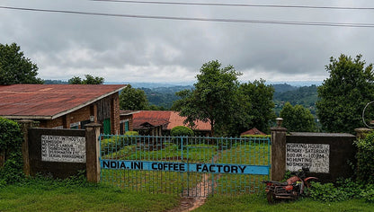 Kenya Natural Ndiaini Factory